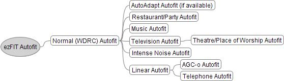 ezfit-autofit-overview.jpeg